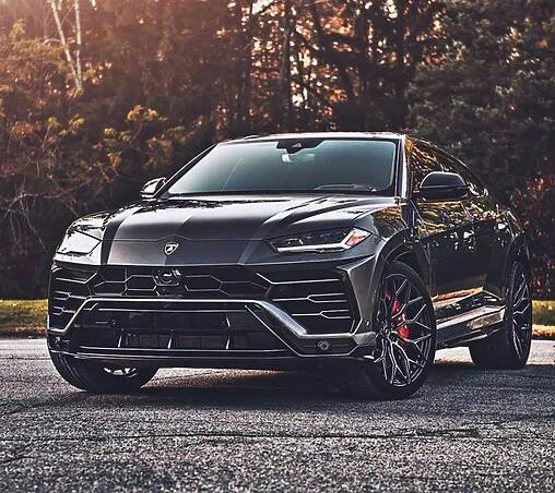 Le Urus, agressif mais pratique